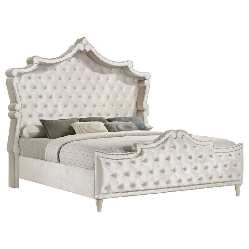 Antonella Queen Beds