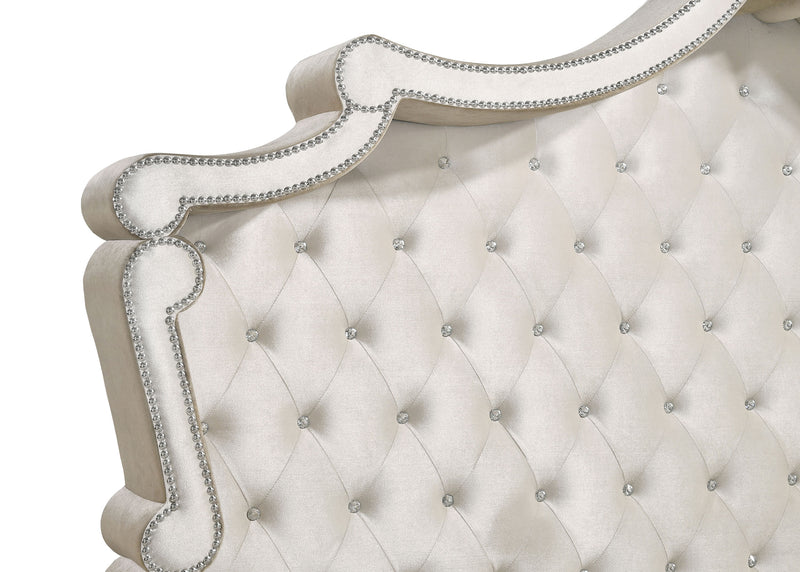 Antonella Queen Beds