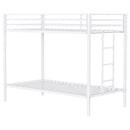 Alevera Bunk Bed